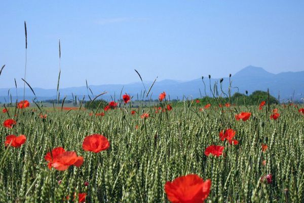 Samedi 21 mai, toute la journée, la chaîne des Puys comme le reste de l'Auvergne sera baignée de soleil. Météo France prévoit 25 degrés sous abri dans toute la région.