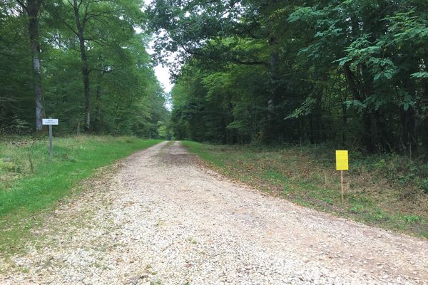 L'un des chemins ruraux mis en vente par la mairie de Chatillon-en-Bazois.