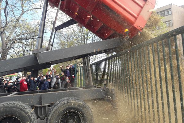 Hay was dumped behind the gates of the Dreal, in Dijon, this April 6, 2021.