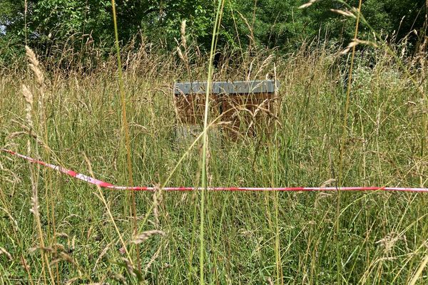 Pour laisser place aux nouveau bureaux de la zone d’activité ALP’ARC entre Aiton et Aiguebelle au cœur de la Savoie, les abeilles vont devoir butiner ailleurs