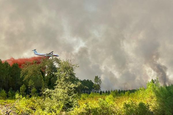 Dash et Canadairs au-dessus des feux de forêt du côté de Landiras en Gironde.