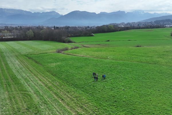 Le projet de zone d’activité économique pourrait voir le jour sur ces 13 hectares de terres agricoles à Poisy, en Haute-Savoie.