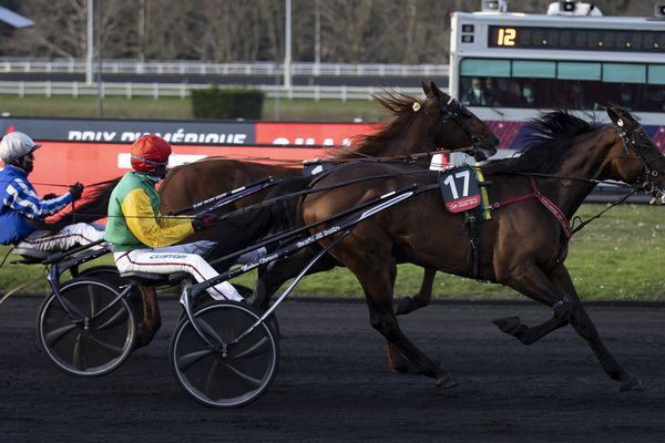 En janvier 2022, Nicolas Bazire avec Davidson du Pont avait franchi la ligne d'arrivée du Grand Prix d'Amérique en premier.