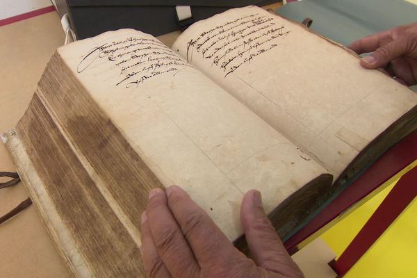 Le Weinschlagbuch a longtemps été rédigé en allemand. Le français ne fait son apparition qu'après 1945.