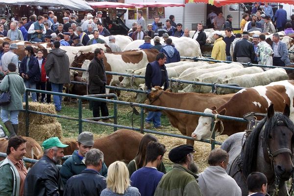 La foire de Beaucroissant, en Nord-Isère, est la plus ancienne foire agricole de France, et aussi l'une des plus grandes. Photo d'archives.