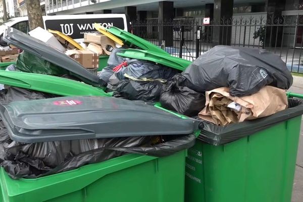 VIDEO. Grève des éboueurs : l'inquiétude des commerçants parisiens