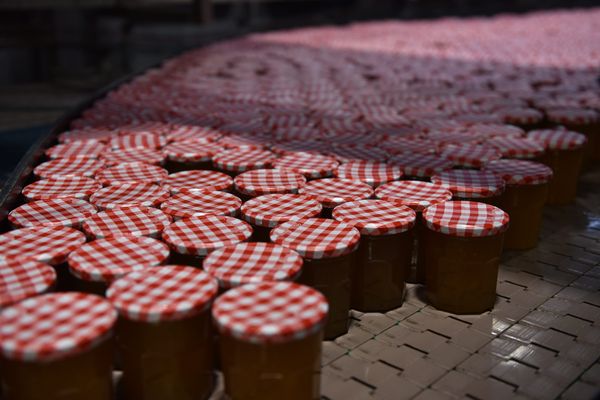 Un homme de 23 ans en provenance de Fort-de-France en Martinique a été interpellé avec des pots de confiture et crème pour le corps de cocaïne à destination de Nice