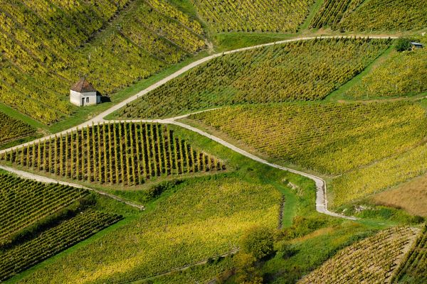 Au second tour des législatives 2024, pour qui voter dans le Jura ? Il n'y aura pas de triangulaires. Mais des duels avec le RN.