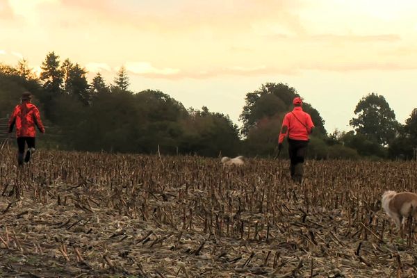 La battue a regroupé 40 chasseurs des associations locales