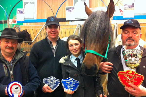 Tosten, trait Poitevin de 6 ans, et Jean-Jacques Siété à droite, meneur de l'attelage. Vincent son fils, groom de l'attelage (au centre avec la casquette)