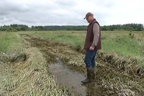 L'agriculture ardennaise a été très touchée par les inondations.