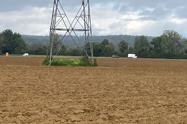 Disparues de l'Yonne : nouvelles fouilles en cours à Rouvray, dans un petit bois surnommé "le cimetière d'Emile Louis" (24/09/2024)