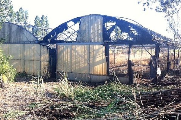 Saint-Hippolyte (Pyrénées-Orientales) - 600m2 de serres détruits après un écobuage mal maîtrisé - 12 juin 2013.