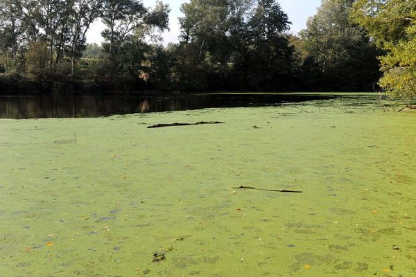 Environ 4200 tonnes de poudre immergées dans quatre bassins, depuis la fin de la première guerre mondiale.