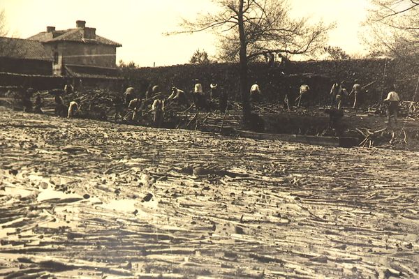 C'est une main d'œuvre essentiellement masculine qui était chargée de récupérer le bois sur la Vienne