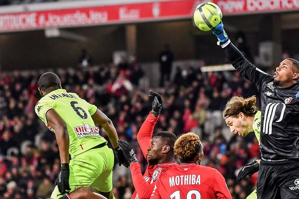 Le LOSC battu par Angers à domicile (1-2)