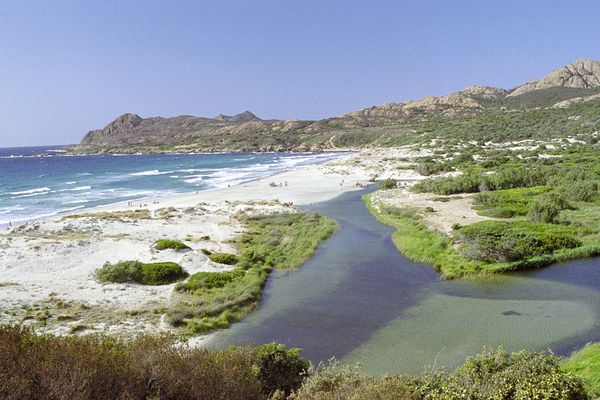 Les interventions ont eu lieu sur les hauteurs de la plage de l'Ostriconi. 