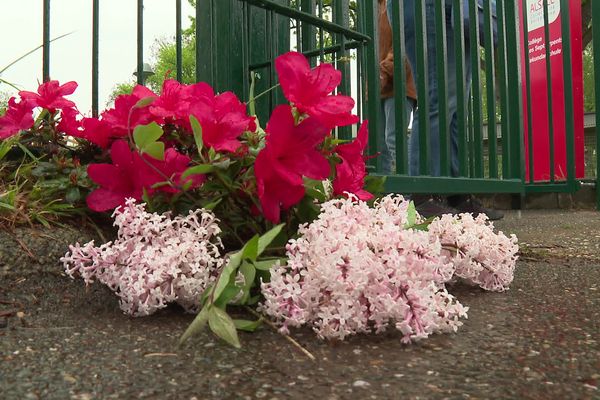 Des fleurs en hommage à Madeline, déposées le vendredi 19 avril devant le collège des Sept arpents.