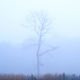 Brouillard et grisaille pour la météo de ce mardi 05 novembre 2024 dans les Hauts-de-France.