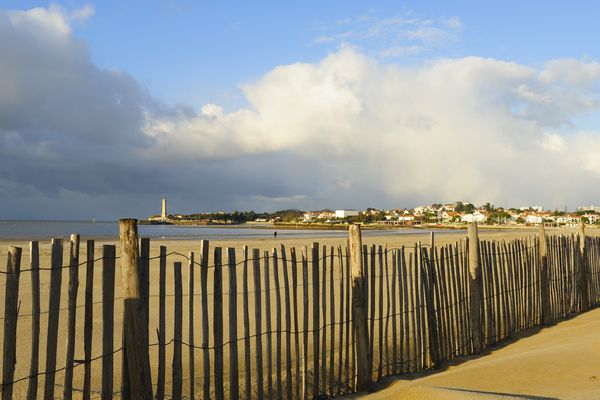 Barrière brise-vent sur la plage de Saint Georges de Didonne (17) 