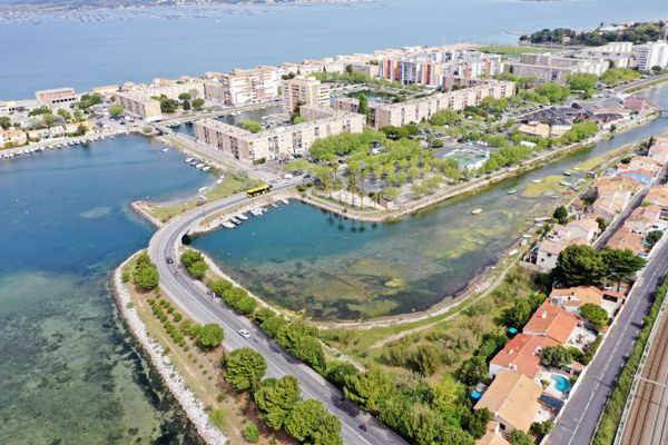 L'Ile-de-Thau à Sète