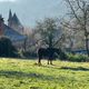 Entre nature et patrimoine, la Corrèze séduit même en hiver.