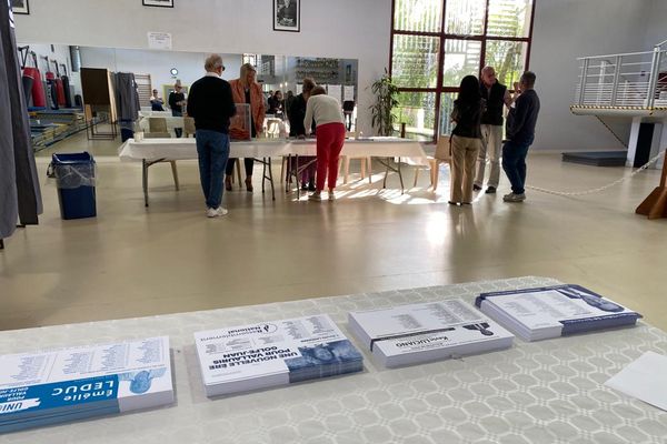 Les électeurs de Vallauris Golfe-Juan sont appelés aux urnes ce dimanche pour élire un nouveau conseil municipal.