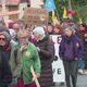 Près de 500 personnes ont défilé contre le projet de méga-serres, ce samedi 16 novembre, à Isigny-le-Buat.