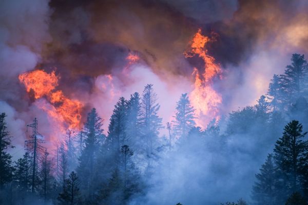 Aôut 2022, la commune de Le Menil dans les Vosges touchée par de violents incendies de forêts.