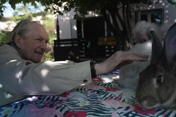 Quelques heures avec des animaux à caliner, la médiation animale opère des bienfaits avérés chez les personnes âgées.