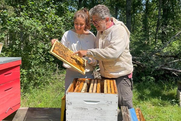 Manon et Hervé Charle, le miel, une affaire de famille