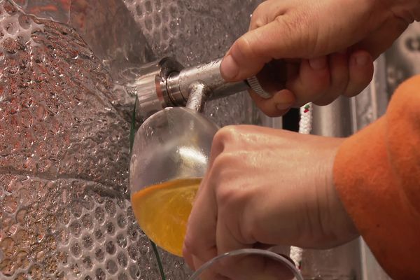 Les pommes se pressent en automne pour fabriquer le cidre du Gard.