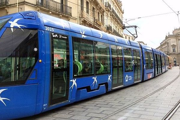 La ligne 1 du tram de Montpellier sur la place de la Comédie - 2016.