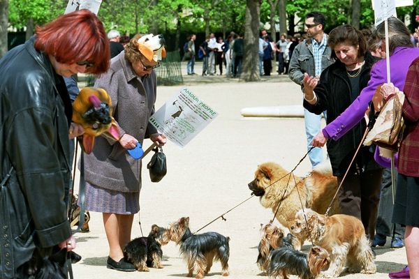 Des manifestants contre les crottes de chiens, à Paris, en 2000.