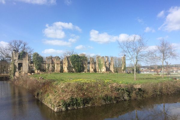 les ruines du château de l'Etenduère - Les Herbiers (Vendée) 