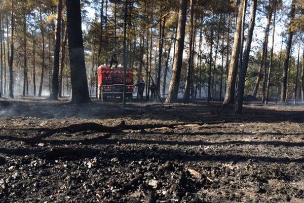 100 pompiers et 18 véhicules sont mobilisés pour lutter contre les flammes.