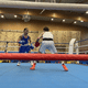 L'élite de la boxe française était présente au Parc d'Ohlain ce week end.