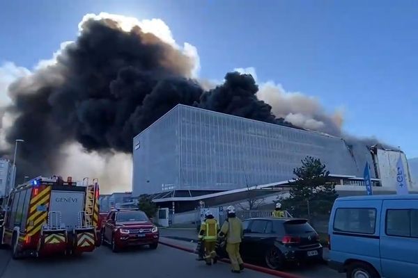 Un incendie s'est déclaré dans la zone industrielle de Meyrin-Satigny (Suisse) le 17 avril, provoquant un important panache de fumée.