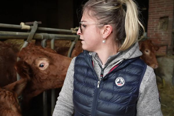 Noémie Bégoc, jeune vétérinaire de campagne à Saint-Yrieix-la-Perche en Haute-Vienne