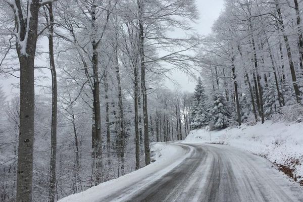 Archives : le Mont-Aigoual enneigé, le 1er décembre 2017