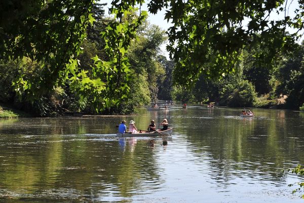 Le bois de Boulogne, à Paris (image d'illustration).