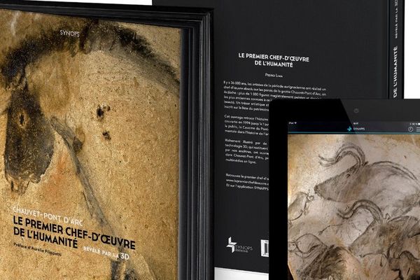 "Chauvet-Pont d'Arc : Le premier chef-d'oeuvre de l'humanité révélé par la 3D". Le livre du journaliste scientifique marseillais Pedro Lima, aux éditions Synops 