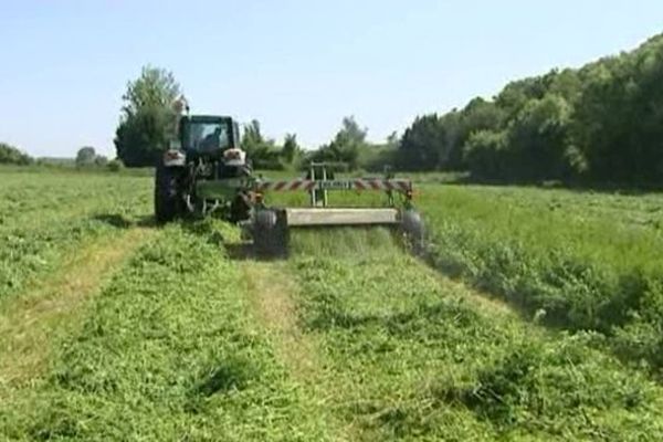 Ici, la parcelle de luzernes de Cyril Beautru, exploitant agricole A Cellé (Loir-et-Cher).
