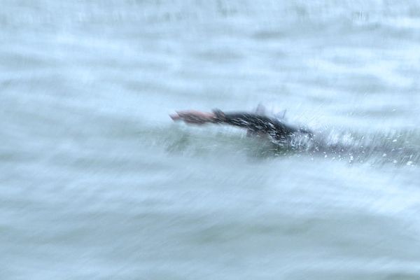 Jean-Jacques Savin s'entraîne à traverser le bassin d'Arcachon de long en large avant de s'attaquer à la Manche dans quelques semaines