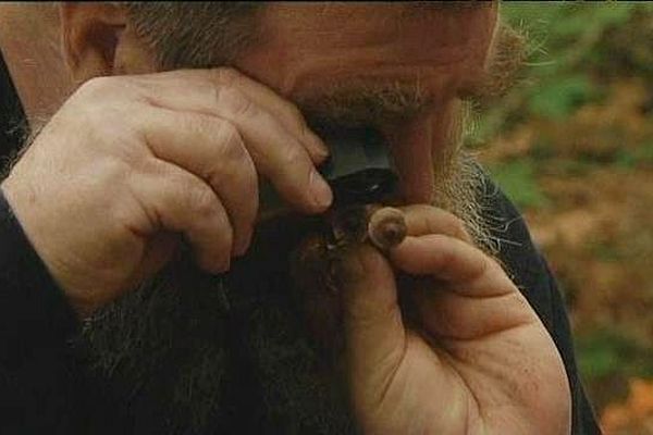 Les experts des champignons se retrouvent pour les Mycologiades de Bellême 