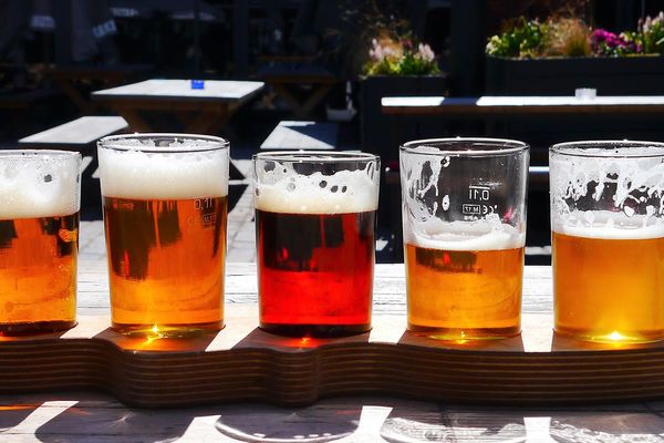 La bière se décline sous différentes couleurs, blondes, ambrées, rousses, noires  ou blanche.