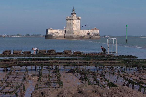 A quelques centaines de mètres de la côte, le Fort Louvois se dresse entre Bourcefranc-le-Chapus et l'île d'Oléron.