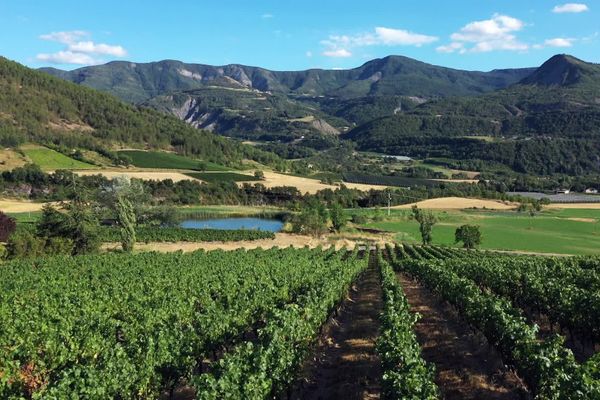 Ici les vignes sont parmi les plus hautes d’Europe, certaines culminent à 1 000 mètres d’altitude.