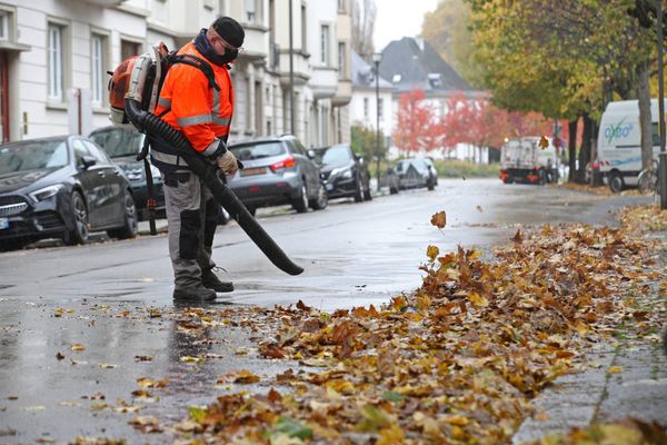 Sauf en cas d'arrêté municipal, la mairie à la charge d'entretenir les voies publiques, donc les trottoirs.