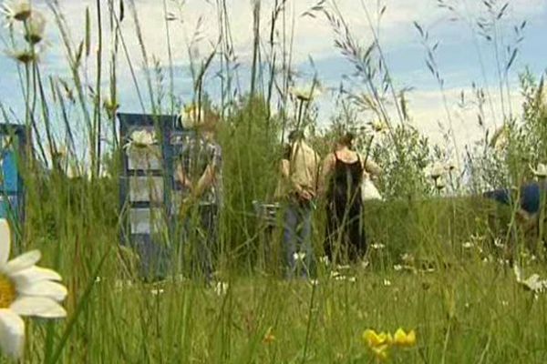 Les parents d'élèves du lycée agricole de Saint-Flour dans le Cantal découvrent dans les prés les vertus de l'établissement.